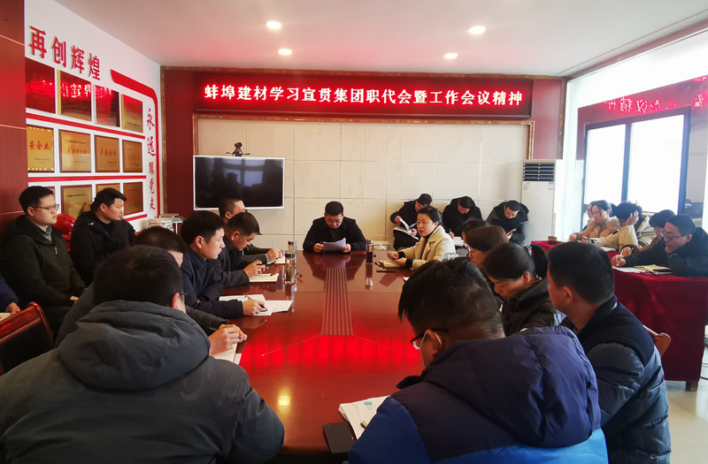 蚌埠建材學(xué)習(xí)宣貫職代會(huì)暨工作會(huì)議精神_副本.jpg